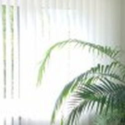 Gardine, Vorhang, Fenstergestaltung, Sonnenschutz, Rollo, Markise, Schutz, Sonnenschutzanlage, Jalousie,Plisseeanlage, absorbiert, Verdunklungsanlage
