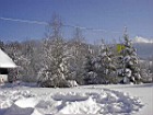Winter Schneeloch Wild
