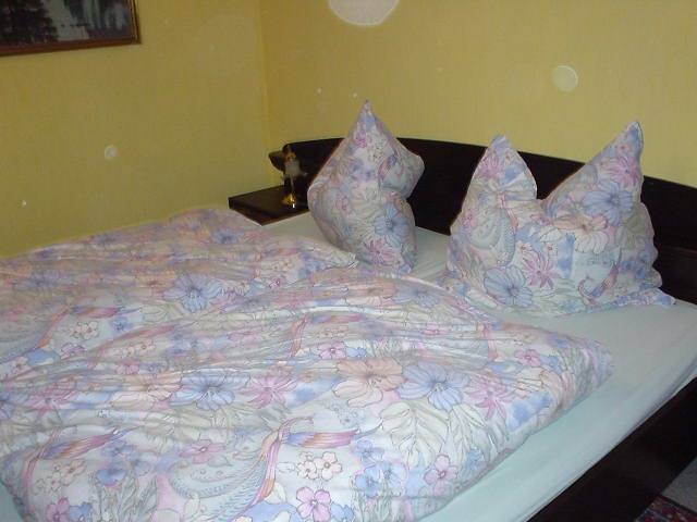 Bild Ferienwohnung Kreuels
